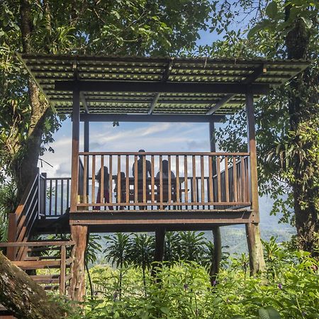 "Hana'S Celeste Retreat" Large Modern Villa Sleeps 6 On 20 Acres Of Nature! Bijagua Exteriör bild